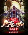 疯了吧,你管这叫圣骑士吧