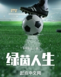 绿茵人生TXT