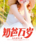 《奶爸》小说