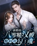 新婚夜,八零糙汉被媳妇儿勾了魂全集免费阅读