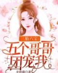 三胎六宝:五个哥哥团宠我 作者:辛梓萌