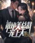 闪婚总裁宠上天全集免费