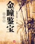 古玩之金瞳鉴宝下载