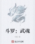 斗罗武魂玄龟开局反甲暴击