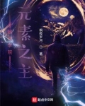超神学院:元素之主 小说