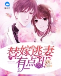 替嫁逃妃 小说