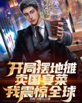 开局摆地摊卖国宴菜,我震惊全球