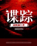 谍踪TXT免费全本下载