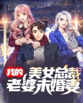 美女总裁未婚妻沈浪全文免费阅读