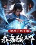 苟在少林十年我无敌天下
