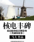 秦山核电站首次并网发电