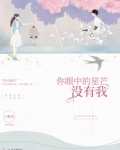 你眼中的星芒没有我