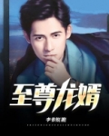 至尊龙婿叶辰全本免费