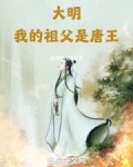 大明：我的祖父是唐王