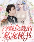 冷魅总裁的私宠秘书
