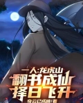 龙虎山传人小说