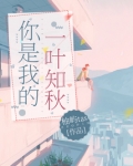 你是我的一叶知秋