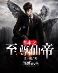 都市之至尊仙帝百度百科