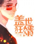盖世狂婿叶凡沈若雪