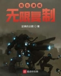 我在漫威无限复制小说