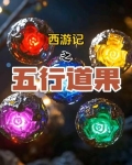 西游记五行之说