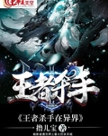 王者杀手在异界