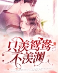 不羡鸳鸯不羡仙哪首歌