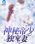 神秘帝少甜宠妻阅读全文