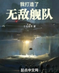 我打造了无敌舰队无防盗