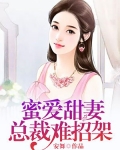 总裁密爱甜妻太暖心