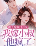 渣夫跪舔白月光,我嫁小叔他疯了百度云