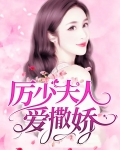 小说 厉少夫人谁敢追