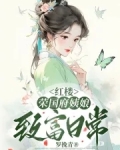 红楼:荣国府姨娘致富日常罗挽青