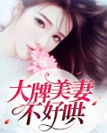 大牌美妻不好哄小说