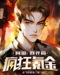网游:开局氪金100亿