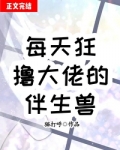 每天狂大佬的伴生兽小说