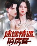 迷途客是什么意思