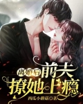 离婚后，前夫撩她上瘾