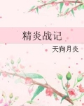精炎战记txt百度云
