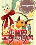 小智的宝可梦肉鸽 存粮的仓鼠准备过冬