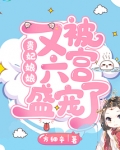 贵妃娘娘又被六宫盛宠了