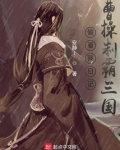 偷看我日记，曹操制霸三国