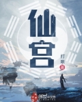 仙宫战纪阵容