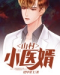 山村小医婿