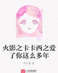火影之卡卡西之爱了你这么多年