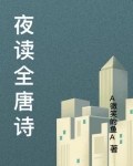 夜读全诗译文
