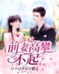前妻高攀不起 小说