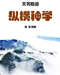 纵横神学
