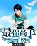 最强高手在校园 心在流浪