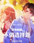 重生的我不做选择题